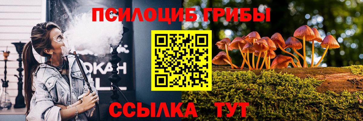 Галлюциногенные грибы мухоморы  Галлюциногенные грибы прущие грибы  Новый Уренгой  Вход с VPN 